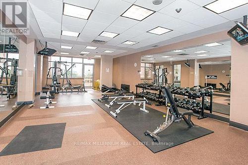 702 - 4080 Living Arts Drive, Mississauga, ON - Indoor Photo Showing Gym Room