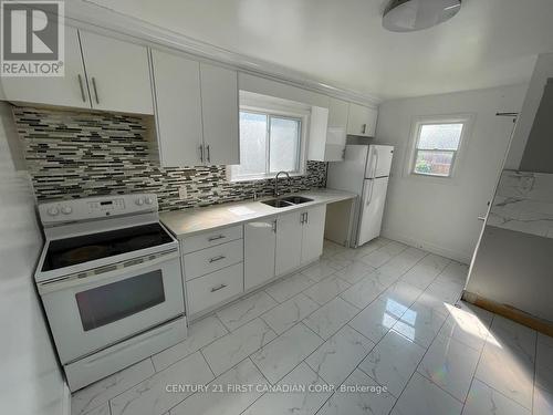 1119 Trafalgar Street, London, ON - Indoor Photo Showing Kitchen With Double Sink