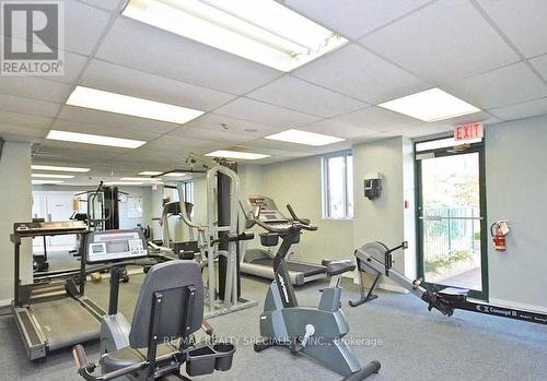 203 - 115 Hillcrest Avenue, Mississauga, ON - Indoor Photo Showing Gym Room