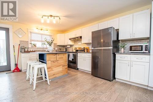 229 Pleasant Point Road, Kawartha Lakes (Lindsay), ON - Indoor Photo Showing Kitchen