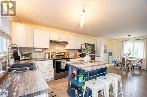 229 Pleasant Point Road, Kawartha Lakes (Lindsay), ON - Indoor Photo Showing Kitchen With Double Sink With Upgraded Kitchen