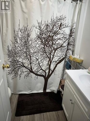 307 Ambridge Drive, Iroquois Falls, ON - Indoor Photo Showing Bathroom