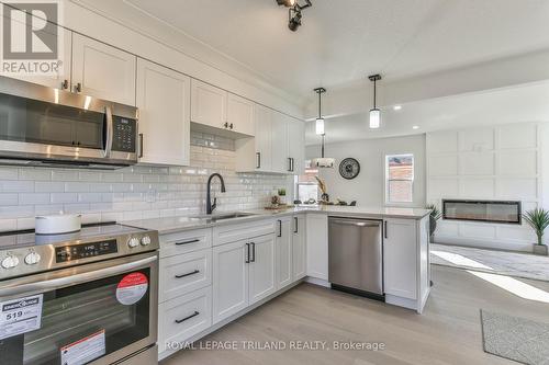 168 Hale Street, London, ON - Indoor Photo Showing Kitchen With Stainless Steel Kitchen With Upgraded Kitchen