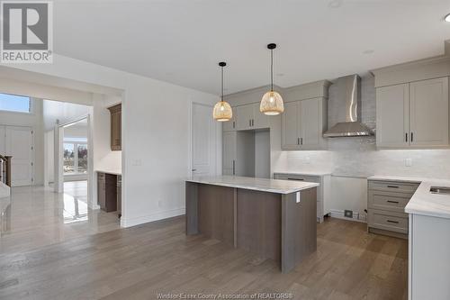 519 Veneto Street, Lakeshore, ON - Indoor Photo Showing Kitchen With Upgraded Kitchen