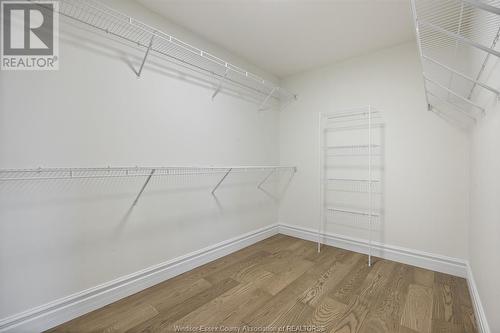 519 Veneto Street, Lakeshore, ON - Indoor With Storage