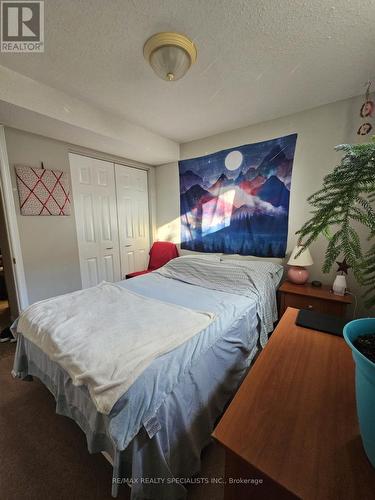 Lower - 56 Kearney Street, Guelph, ON - Indoor Photo Showing Bedroom