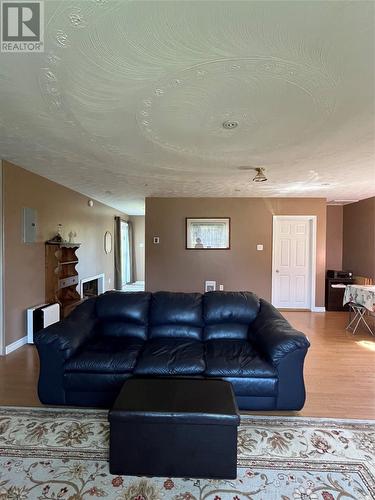 133 Middleton Avenue, Bell Island, NL - Indoor Photo Showing Living Room