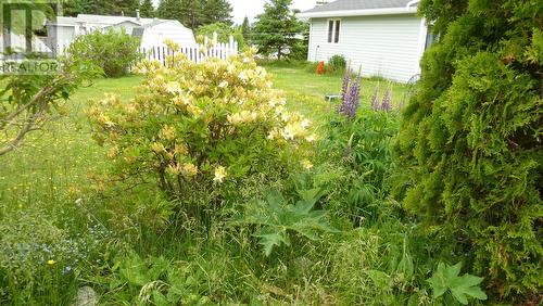 133 Middleton Avenue, Bell Island, NL - Outdoor