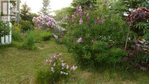 133 Middleton Avenue, Bell Island, NL - Outdoor