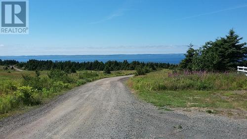 133 Middleton Avenue, Bell Island, NL - Outdoor With View