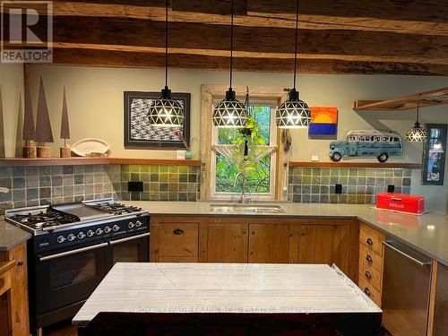 1183 Roger Place, Smith-Ennismore-Lakefield, ON - Indoor Photo Showing Kitchen