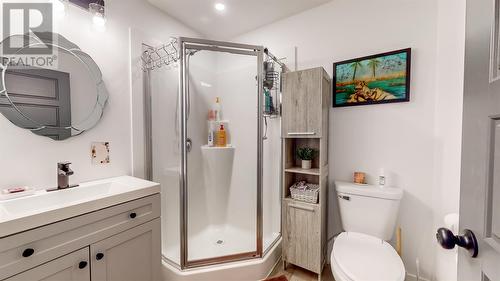 10 Joes Place, Flatrock, NL - Indoor Photo Showing Bathroom