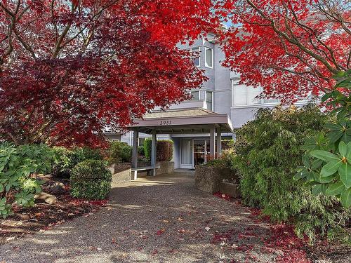 305-3931 Shelbourne St, Saanich, BC - Outdoor