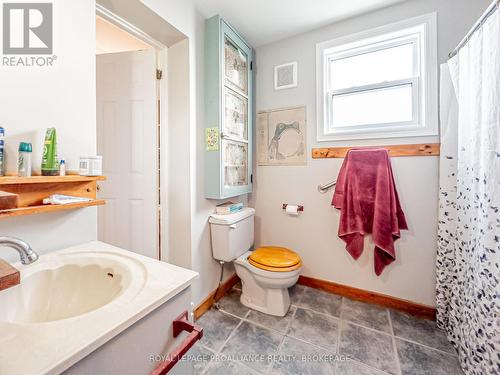 102 Livingston Avenue, Kingston (Central City East), ON - Indoor Photo Showing Bathroom