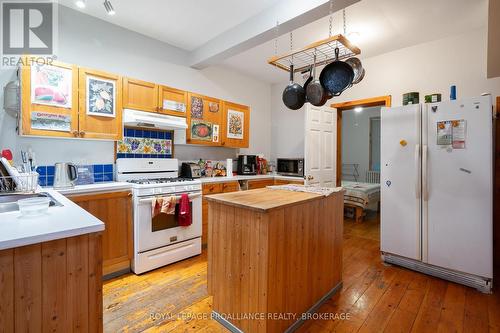 102 Livingston Avenue, Kingston (Central City East), ON - Indoor Photo Showing Kitchen