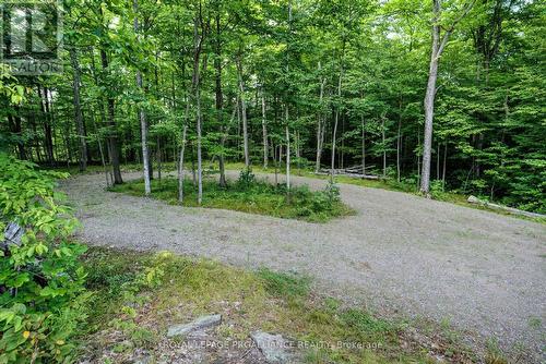 572 Oak Bluffs Road, South Frontenac, ON 