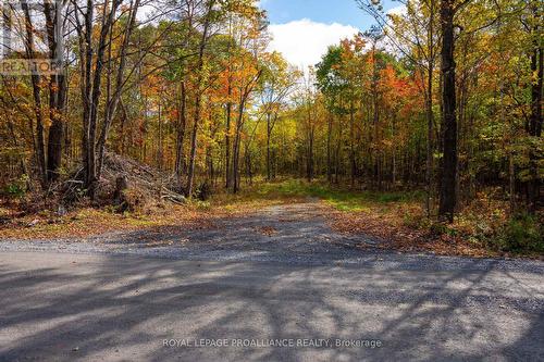 Pl12&13 Devil Lake Road, South Frontenac, ON 