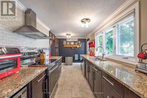 348 Fife Avenue, Smith-Ennismore-Lakefield, ON - Indoor Photo Showing Kitchen With Double Sink