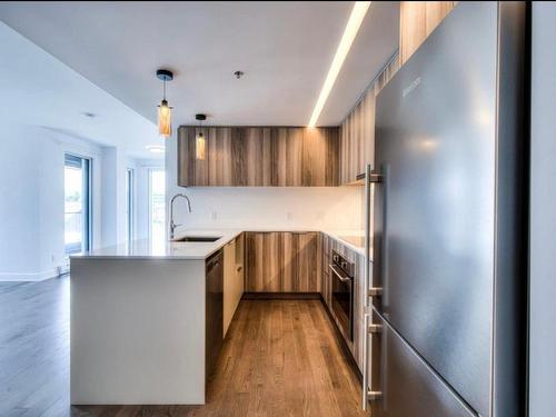 Kitchen - 652-101 Rue Peel, Montréal (Le Sud-Ouest), QC - Indoor Photo Showing Kitchen With Upgraded Kitchen