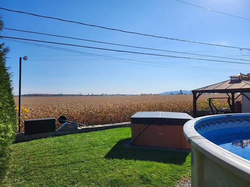 Backyard - 626 Rue St-Dominique, Saint-Dominique, QC - Outdoor With Above Ground Pool