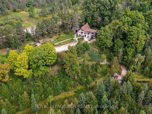 400454 Grey Road 4, Grey Highlands, ON - Outdoor