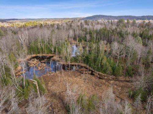 Vue d'ensemble - Ch. Copeland-Evans, Alleyn-Et-Cawood, QC 