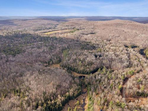 Vue d'ensemble - Ch. Copeland-Evans, Alleyn-Et-Cawood, QC 