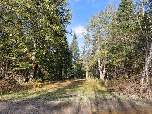 Land/Lot - 771 Ch. Caron, Notre-Dame-De-Pontmain, QC 