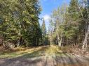 Land/Lot - 771 Ch. Caron, Notre-Dame-De-Pontmain, QC 