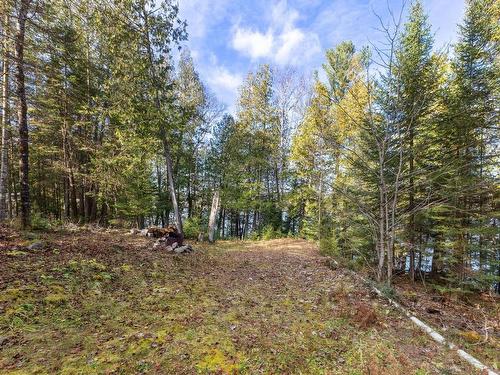 Land/Lot - 771 Ch. Caron, Notre-Dame-De-Pontmain, QC 