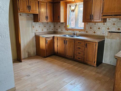 Cuisine - 3225 102E Avenue, Shawinigan, QC - Indoor Photo Showing Kitchen With Double Sink