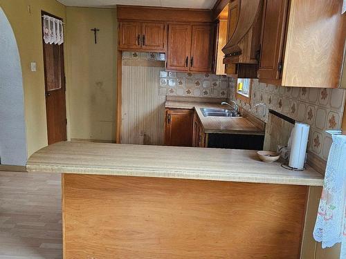 Cuisine - 3225 102E Avenue, Shawinigan, QC - Indoor Photo Showing Kitchen With Double Sink