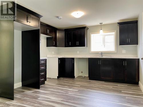 6A Cape Fox Street, St. John'S, NL - Indoor Photo Showing Kitchen