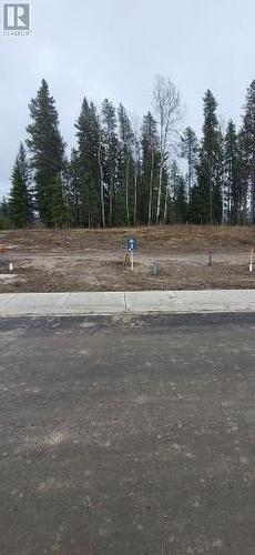 Lot 2 Westwood Heights Drive, Sparwood, BC 