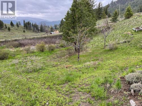 1910 Hulme Creek Road, Rock Creek, BC - Outdoor With View