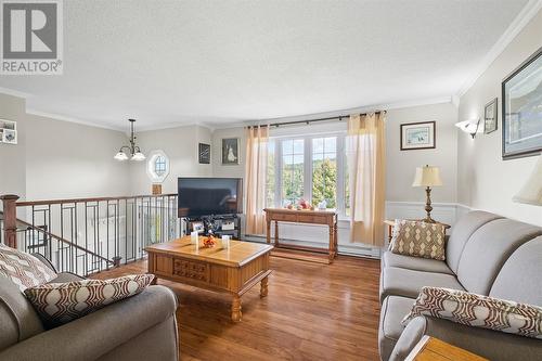 423 St. Thomas Line, Paradise, NL - Indoor Photo Showing Living Room