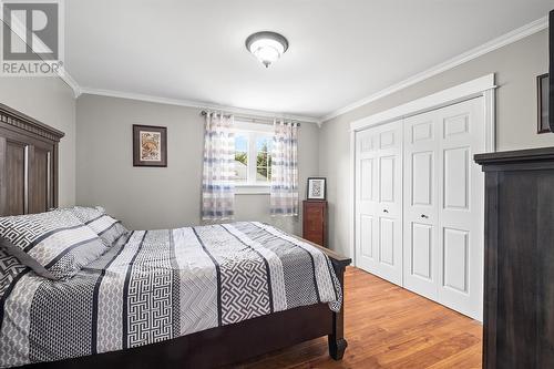 423 St. Thomas Line, Paradise, NL - Indoor Photo Showing Bedroom