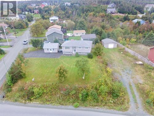 423 St. Thomas Line, Paradise, NL - Outdoor With View