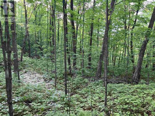 Lot 12 Hwy 17E, Huron Shores, ON 