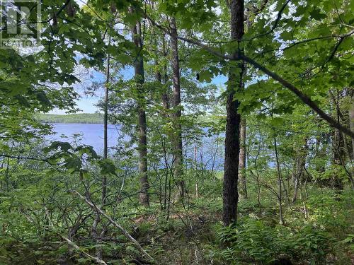 Lot 12 Hwy 17E, Huron Shores, ON 