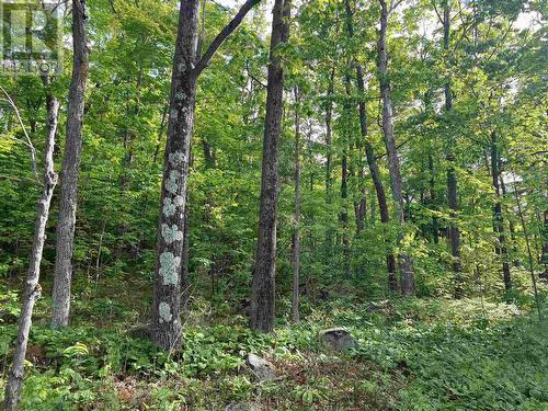 Lot 12 Hwy 17E, Huron Shores, ON 