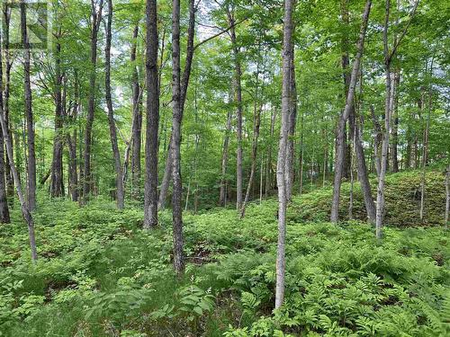 Lot 12 Hwy 17E, Huron Shores, ON 