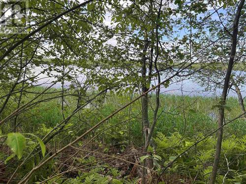 Lot 12 Hwy 17E, Huron Shores, ON 