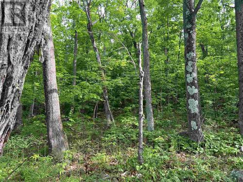 Lot 12 Hwy 17E, Huron Shores, ON 