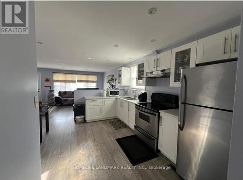 47 Martimas Avenue, Hamilton, ON - Indoor Photo Showing Kitchen With Double Sink