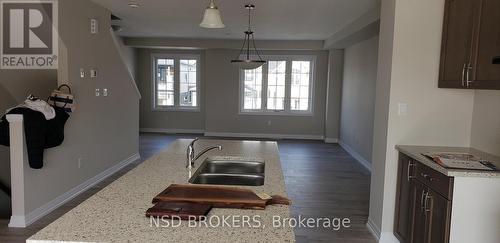 116 Monarch Woods Drive, Kitchener, ON - Indoor Photo Showing Kitchen With Double Sink