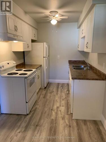 196 - 195 Denistoun Street, Welland, ON - Indoor Photo Showing Kitchen With Double Sink