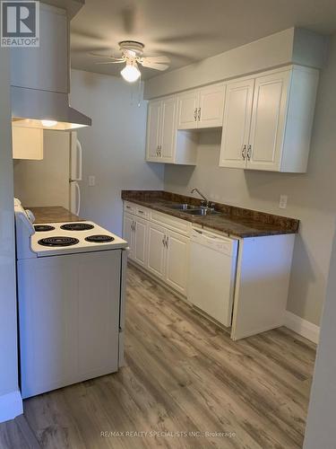 196 - 195 Denistoun Street, Welland, ON - Indoor Photo Showing Kitchen With Double Sink