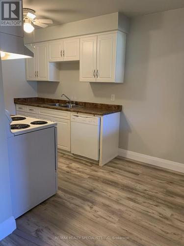 196 - 195 Denistoun Street, Welland, ON - Indoor Photo Showing Kitchen With Double Sink