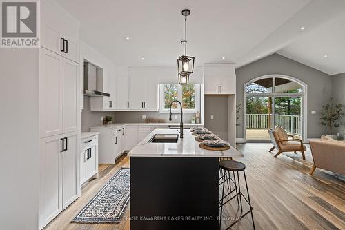 380 Highway 36, Kawartha Lakes (Bobcaygeon), ON - Indoor Photo Showing Kitchen With Upgraded Kitchen